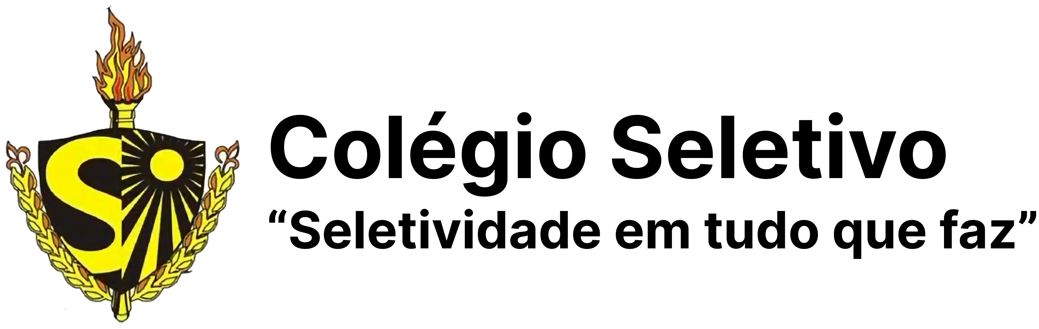 Colégio Seletivo Logo